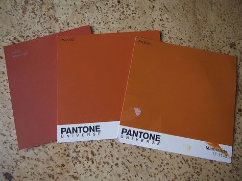 Orange Fireplace, Terracotta Paint, Stacked Stone Fireplaces, Painted Brick Fireplace, Painted Brick Fireplaces, Pantone Universe, Fireplace Designs, Orange Brick, Paint Fireplace