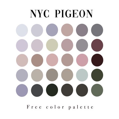 A color palette inspired by the pigeons of New York City. Architecture Drawing Color Palette, Pigeon Color Palette, London Color Palette, New York Color Palette, Color Meanings, Color Palette Design, Good Notes, Color Names, Color Pallets