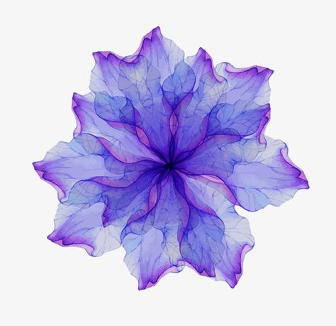 3d Wallpaper Blue, Blossom Wallpaper, Flower Png Images, Blue Blossom, Blue Png, Blue And Purple Flowers, Transparent Flowers, Flowers Png, Abstract Geometric Art