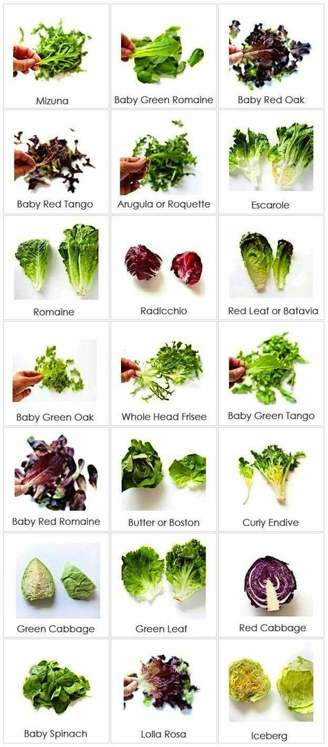 A VARIETY OF DIFFERENT LETTUCE Types Of Lettuce, Cooking Photos, Salad Greens, Types Of Vegetables, Food Charts, Cooking Guide, Food Info, Think Food, Food Facts