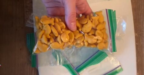 Diy Snack Bag, How To Split, Zip Lock Bag, 12 Tomatoes, Food Saver, Sandwich Bags, Ziplock Bags, Snack Bags, Food Tips