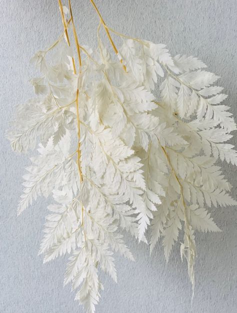 from magnolia lane - preserved leather fern Bleached Fern, White Rose Bridal Bouquet, Wreath Workshop, Sophisticated Boho, Floral Palette, Elopement Bouquet, Flower Catalog, Rose Bridal Bouquet, Color Forecasting