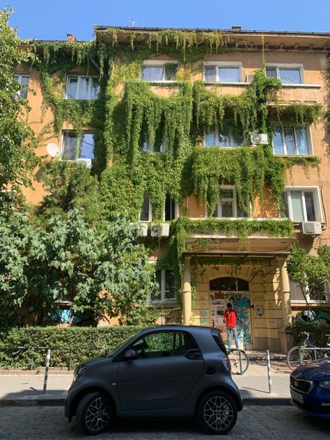 cool building covered with crawling plants Crawling Plants, Yellow Building, Green Plants, Forest, Building, Yellow, Plants, Wall, Green