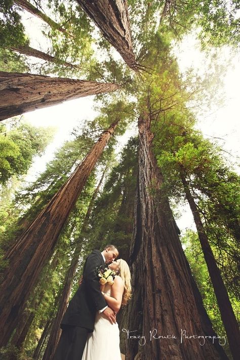 Wedding Woods, Redwood Wedding, Muir Woods, Wedding Picture Poses, Foto Tips, Inspiration Photography, Wedding Photos Poses, Foto Poses, Engagement Photo Inspiration