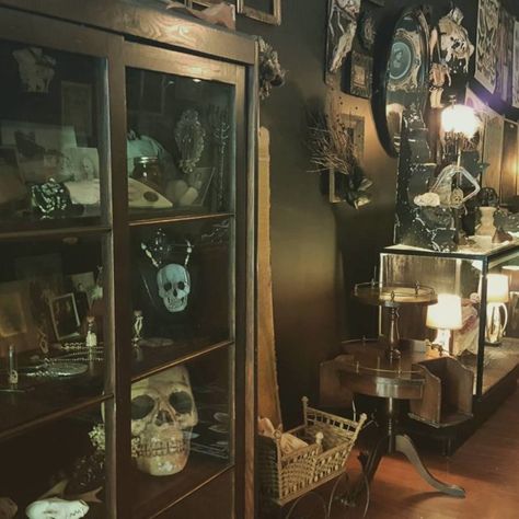 Oddities Shop Aesthetic, Oddity Shop Aesthetic, Beatrice Core, Antique Shop Aesthetic, Oddity Shop, Curio Decor, Items For Room, Dark Moody Decor, Oddities Shop