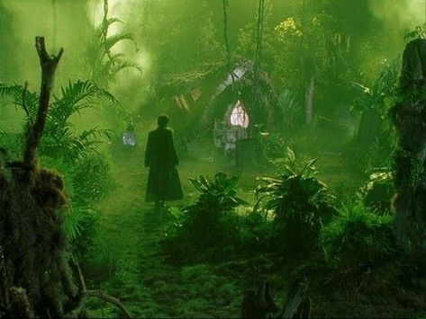 Swamp Witch House- 10th Kingdom 10th Kingdom, The 10th Kingdom, Swamp Witch, Greatest Movies, Kingdom Movie, Cabin Trip, Time Traveller, Healing Plants, Southern Gothic