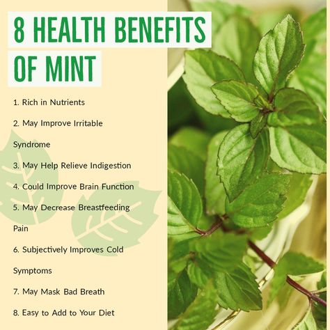 Have Mint leaves with our daily meals is beneficial for our health. Mint Benefits, Cold Symptoms, Improve Brain Function, Brain Function, Mint Leaves, Daily Meals, Health Benefits, Natural Ingredients, Herbs