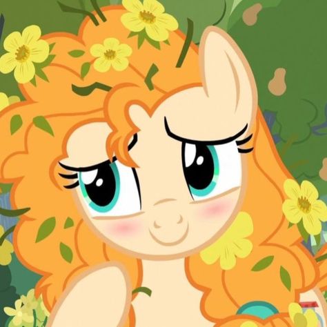 Flower In Hair, Pear Butter, My Little Pony Wallpaper, Equestria Girl, My Lil Pony, My Little Pony Drawing, My Little Pony Characters, Mlp Equestria Girls, Mlp Pony