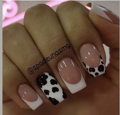 Simple Nail Designs Cow Print, Grey Cow Print Nails, Cow Print Coffin Acrylic Nails, Cute Cow Print Nail Ideas, Cute Nail Designs Cow Print, Nails Acrylic Short Cow Print, Cowprint Nails Square, Cow French Tip Nails Short, Western Theme Nails Cowboy Boots