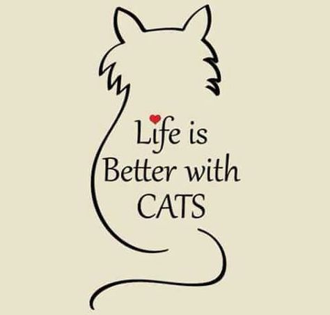 A Cat, Life Is, Quotes