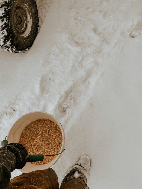 Country Winter Aesthetic, Country Winter, Winter Country Aesthetic, Winter Homestead Aesthetic, Dairy Farm Aesthetic, Hobby Farm Aesthetic, Farming Aesthetic, Winter Farm, Working On A Farm Aesthetic