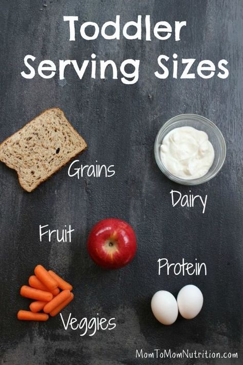 Get the scoop on what and how much your toddler should be eating with pictures of toddler serving sizes. @MomNutrition Serving Size Chart, Mom To Mom, Toddler Nutrition, Banana Apple Smoothie, Serving Sizes, Baby & Toddler Food, Nutrition Course, Healthy Toddler Meals, Feeding Toddlers