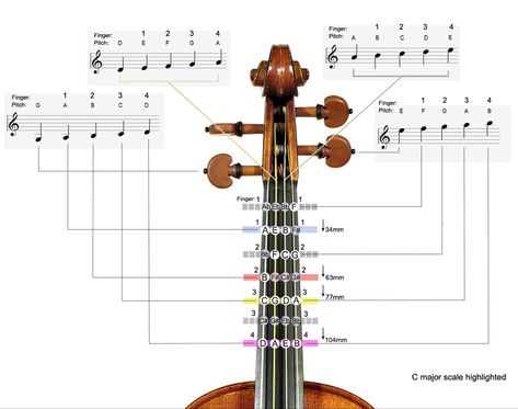 Violin Chords, Beginner Violin Sheet Music, Violin Fingering Chart, Violin Tutorial, Cello Lessons, Violin Teaching, Fiddle Music, Violin Practice, Reading Sheet Music