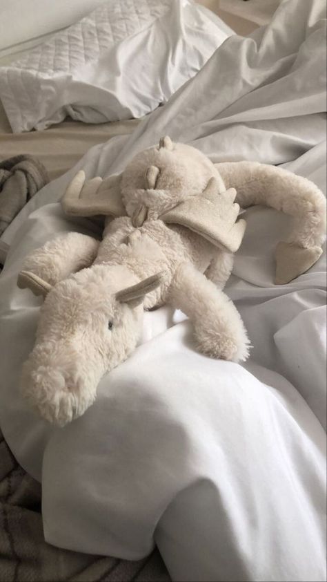 Jellycat Snow Dragon, Jellycat Plushies Aesthetic, Jellycat Aesthetic Dragon, Jelly Cat Dragon, Jelly Cat Stuffed Animals Aesthetic, Jellycats Cute, Stuffies Aesthetic, Jelly Cats Stuffed Animals, Matching Jelly Cats