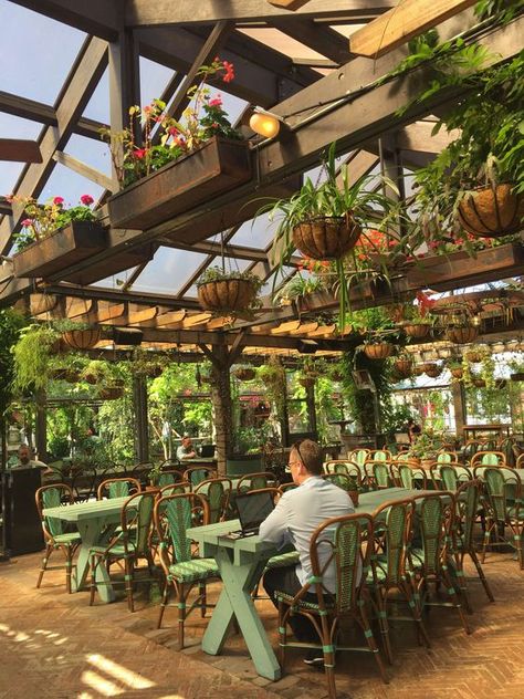 Backyard Restaurant, Greenhouse Restaurant, Outdoor Restaurant Patio, Greenhouse Cafe, The Grounds Of Alexandria, Outdoor Restaurant Design, Coffee Shop Interior Design, Restaurant Patio, Coffee Shops Interior