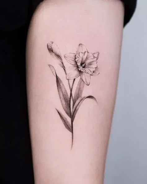 Narcissus Flower Tattoo Realism, Narccicus Flower Drawing, Forearm Daffodil Tattoo, Defodiles Flower Tattoo, January And April Flower Tattoo, Southern Flower Tattoo, Narcissus And Snowdrop Flower Tattoo, March And April Flower Tattoo, Paper White Narcissus Flower Tattoo