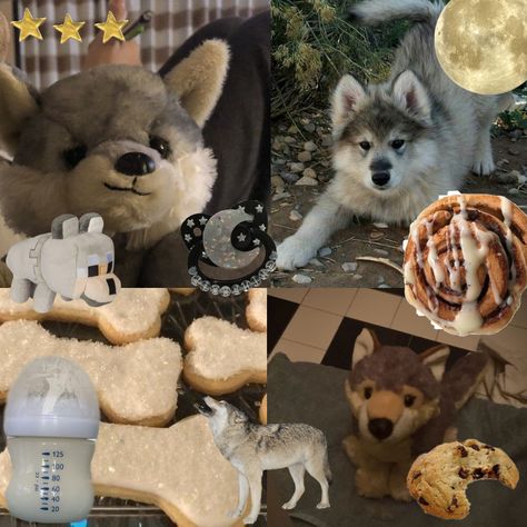 Wolf Boy Aesthetic, Dog Boy Aesthetic, Wolf Regressor, Pup Regressor, Pet Regressor Puppy, Puppy Regressor, Puppy Boy Aesthetic, Pet Regressor, Puppy Space