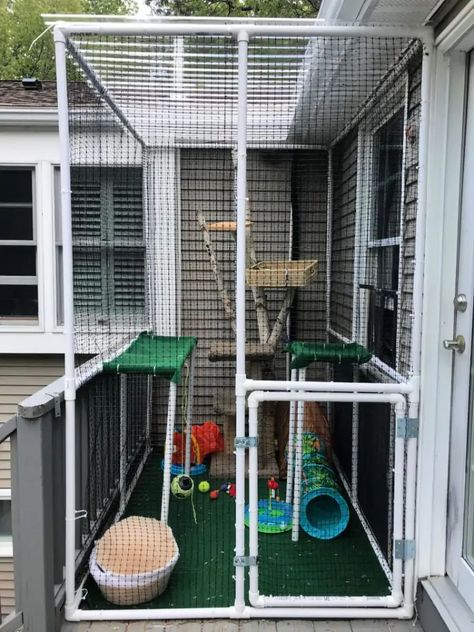 Outside Cat Enclosure, Catio Plans, Ikea Cat, Diy Cat Enclosure, Catio Ideas, Katt Diy, Outdoor Cat Shelter, Katt Grejer, Cat Patio