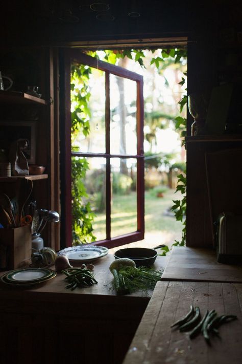 This pin makes me feel a warm, comforting, grounded feeling. It's perfect for a country setting. I really love this pin. Windows View, An Open Window, Casa Country, Cozy Kitchen, Window View, Open Window, Through The Window, Kitchen Window, Cabins In The Woods