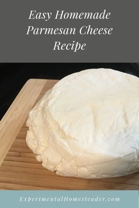 Cheese Recipes Homemade, Recipes With Parmesan Cheese, Cheese Making Recipes, Diy Cheese, Cheese Mold, Cheese Cultures, Cheese Curds, Homemade Cheese, Cheese Recipe