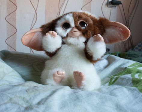 #Gizmo #Gremlins #Mogwai Mogwai Gremlins, Gremlins Art, Beast Creature, Cute Fantasy Creatures, Clay Art Projects, Gremlins, Cartoon Pics, 귀여운 동물, Fantasy Creatures