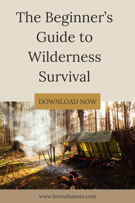 Embarking on an outdoor adventure? Equip yourself with this Ultimate Guide to Wilderness Survival. From understanding your environment to building shelters, finding food and water, signaling for help, to preparing your survival kit - get all the information you need to increase your chances of outdoor survival. Wilderness Survival Shelter, Survival Hacks, Bushcraft Skills, Survival Stuff, Skill Building, Survival Life Hacks, Animal Tracks, Savings Strategy, Survival Life