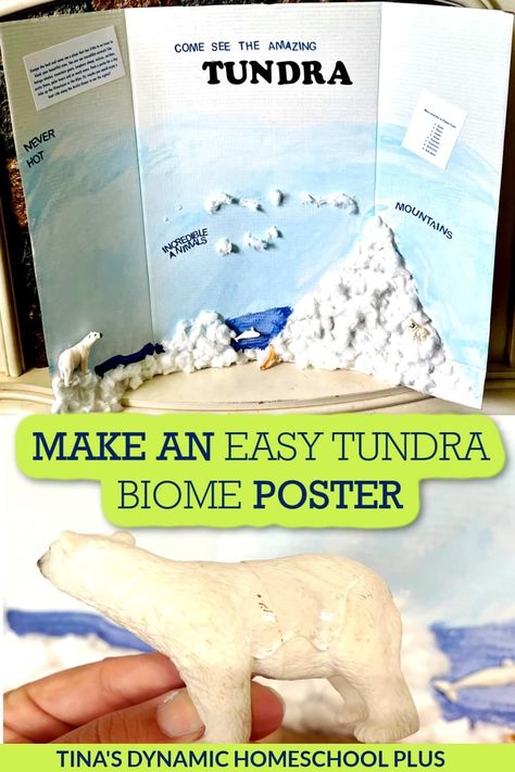 Tundra Diorama Projects, Tundra Biome Shoebox Project, Biome Project Ideas Ocean, Biome Poster Project, Tundra Biome Project, Creative Writing Challenge, Tundra Project, Tundra Animals, Ecosystem Project