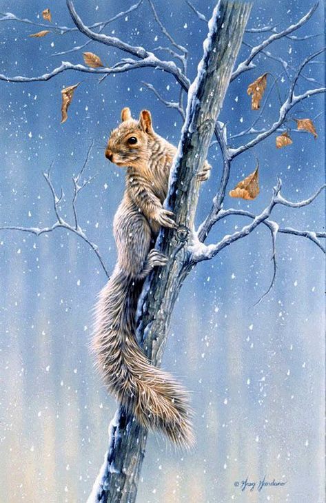 Squirrel Drawings, Wet Animals, Woodland Images, Chipmunk Art, Celebrate Each New Day, Squirrel Painting, Animal Paintings Acrylic, Squirrel Pictures, Woodland Animal Art