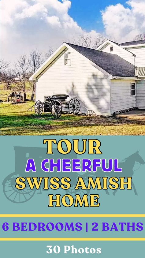 The interior of this home has some vibrant color throughout, which combined with the spacious rooms and ample light. Check it out! Amish Homes Interior, Amish Home, Amish House, Amish Community, Amish Recipes, Home Tour, Human Rights, House Tours, Indiana