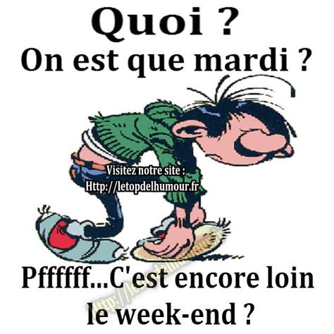 Mardi Humour, Bon Mardi, Bon Weekend, Pink Quotes, Funny Cartoons, Funny Pictures, Funny Quotes, Comic Book Cover, Google Search