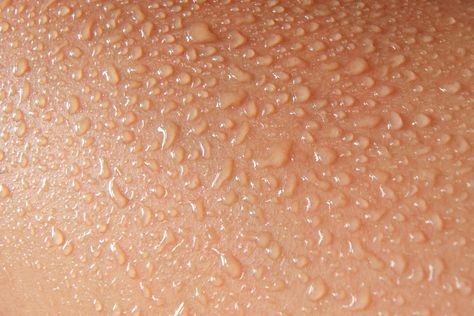 Sweating is the human body’s way to keep cool through the evaporation of liquid released from the sweat glands. Skin Anatomy, Integumentary System, Sweat Gland, The Human Body, Keep Cool, The Science, New Technology, Your Skin, Human Body