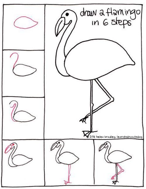 How to draw a flamingo. How to draw birds tutorials. Draw A Flamingo, Drawing Things, Easy Drawings For Kids, Drawing For Beginners, Step Drawing, Journal Doodles, Bird Drawings, Drawing Lessons, Drawing Skills