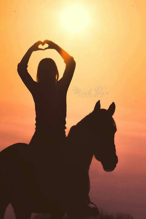 Love♡! Horse Photography Poses, Inspirational Horse Quotes, Beautiful Horses Photography, Horse Story, Cute Horse Pictures, Equestrian Aesthetic, Cowgirl And Horse, Horse Artwork, Horse Wallpaper