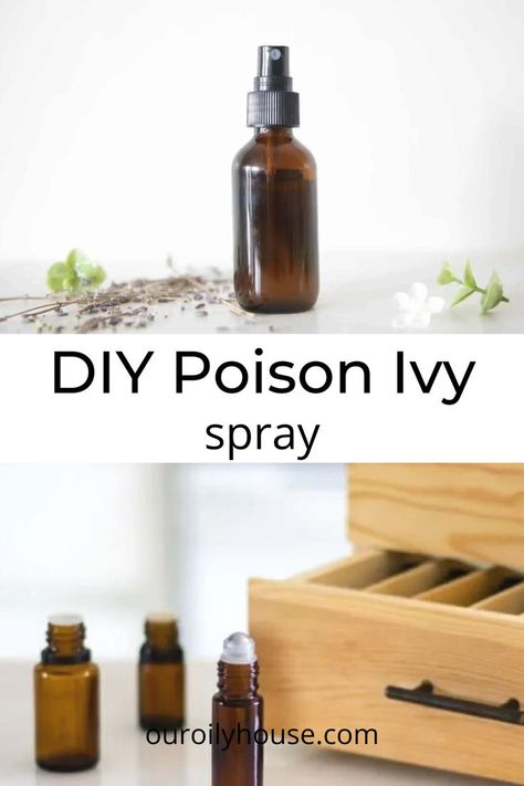 Easy and all-natural poison ivy spray with jewelweed and essential oils. Stop the itch fast! Poison Ivy Essential Oils, Poison Ivy Spray, Remedies For Poison Ivy, Frankincense Essential Oil Doterra, Poison Ivy Remedies, Essential Oil Roller Bottle Recipes, Roman Chamomile Essential Oil, Roller Bottle Recipes, Roller Bottle Blends