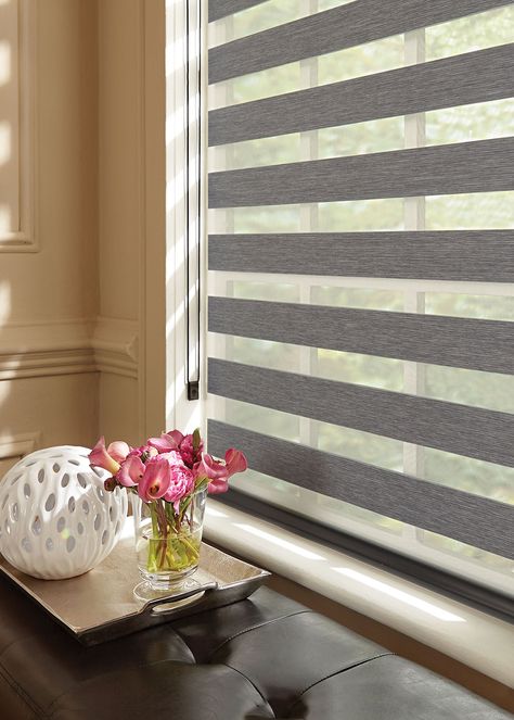 Graber Layered Shades Closeup Contemporary Blinds And Shades, Contemporary Blinds, Graber Blinds, Blinds For Windows Living Rooms, Layered Shades, Window Roller Shades, Window Treatments Sheer, Zebra Shades, Privacy Shades