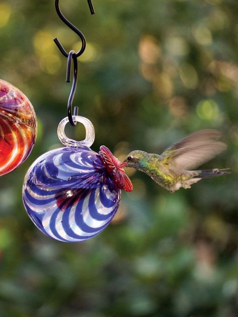 Hummingbirds Will Dine and Dash in Your Backyard All Summer With These Pretty Feeders Homemade Hummingbird Food, Red Mason Jars, Hummingbird Food, Glass Hummingbird Feeders, Glass Hummingbird, Vermont Country Store, Hummingbird Feeder, Antique Bottle, Wildlife Gardening