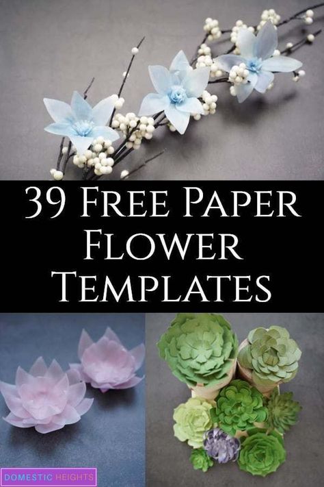 Free Paper Flower Templates, Paper Flower Templates, Paper Flower Centerpieces, Paper Flower Patterns, Paper Sunflowers, Easy Paper Flowers, Paper Flower Crafts, Paper Flower Template, How To Make Paper Flowers