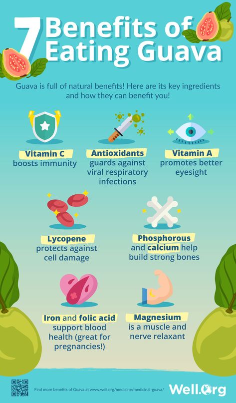 The Medicinal Properties Of Guava And Its Leaves [INFOGRAPHIC] Guava Health Benefits, Benefits Of Guava, Guava Plant, Guava Leaf Tea, Guava Benefits, Natural Plant Food, Guava Fruit, Guava Leaves, Pregnancy Food