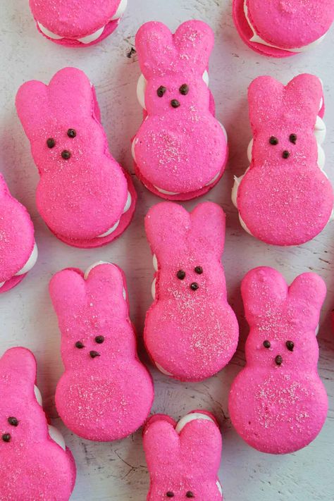 I just made these adorable bunny Peeps macarons for Easter. They're filled with the most delicious marshmallow buttercream. These macarons are seriously so good and actually tasted like Peeps flavored macarons. This post comes with a free Peeps template that you can use for piping. The filling uses marshmallow fluff, which I love! This is a great dessert filling if you need something for Easter dinner. Peep Macarons, Peeps Template, Flavored Macarons, Peeps Flavors, Peeps Marshmallow, Macaron Recipes, Bunny Peeps, Marshmallow Buttercream, Macaron Filling