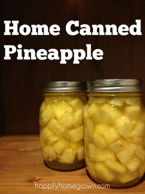 Home Canned Peaches, Meat Canning, Canning Pineapple, Canning Granny, Canning Peaches, Stock Your Pantry, Canning Fruit, Home Canning Recipes, Canned Fruits