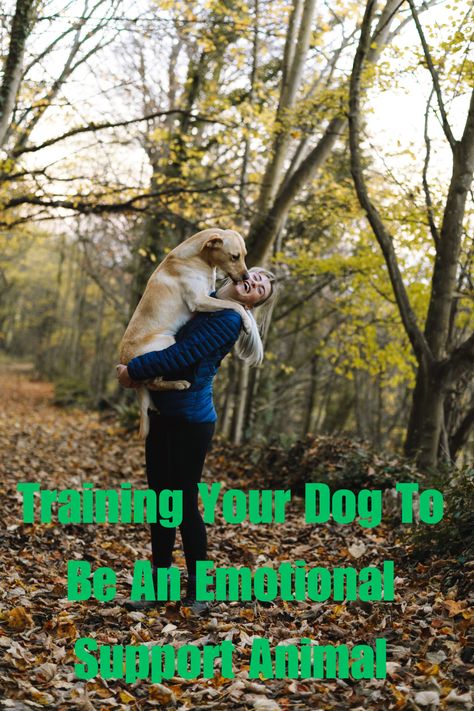 Training Your Dog To Be An Emotional Support Animal Emotional Support Dog Training, Dog Training Commands, Dog Commands Training, Dog Commands, Emotional Support Dog, Support Dog, Emotional Support Animal, Dog Brain, Dog Help