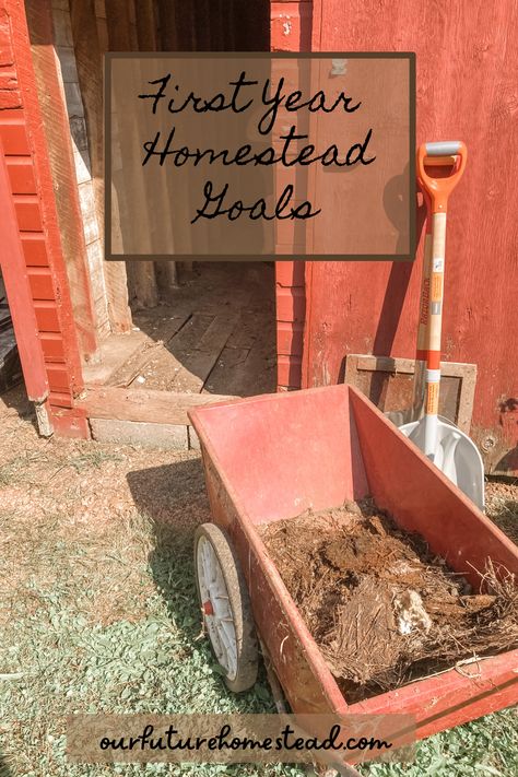 Raising Farm Animals, Modern Homesteading, Our Future, Farm Gardens, Growing Food, Garden Planning, First Year, Farm Animals, The Great Outdoors