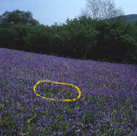 Andy Goldsworthy - Dandelion circle on bluebells Daniel Richter, Postmodern Art, Ephemeral Art, Andy Goldsworthy, The Doors Of Perception, Blue Bell Flowers, Earth Art, Marble Sculpture, Graffiti Artist