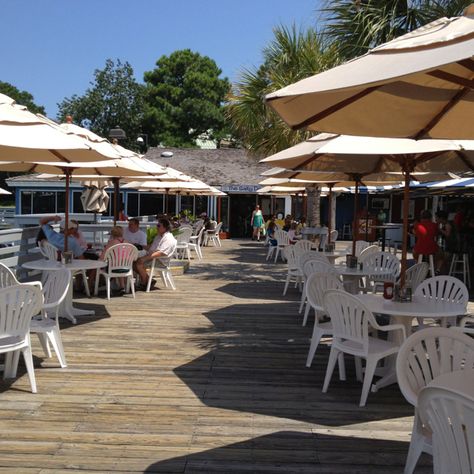 Salty Dog Cafe - Hilton Head, SC Salty Dog Cafe, Hilton Head South Carolina, Hilton Head Sc, Dog Cafe, Salty Dog, Hilton Head Island, Beach Bars, Hilton Head, Low Country