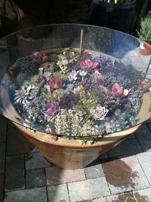 Turning your favorite planter of succulents into a glass-top table is definitely one way to wow your friends! Terrarium Table, Old Chandelier, Glass Tables, Succulent Gardens, Garden Mushrooms, Planter Table, Glass Garden, How To Make Diy, Glass Top Table