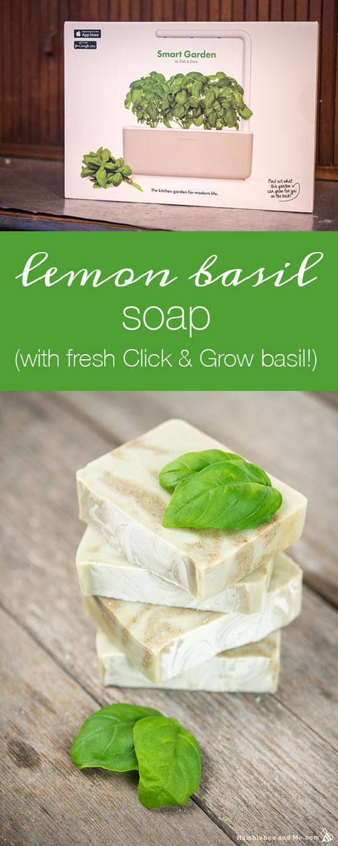 Basil Soap, Making Bar Soap, Grow Basil, Shower Jellies, Cold Process Soap Recipes, Growing Basil, Lemon Soap, Soap Making Recipes, Lush Products