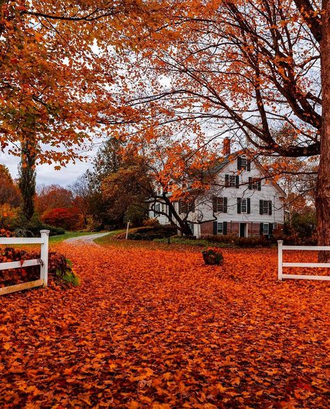 Hay Ride Aesthetic, Aesthetic Fall Photos, Autumn House, Favorite Aesthetic, Days Until Halloween, Orange Leaves, Autumn Magic, Aesthetic Fall, Autumn Scenery