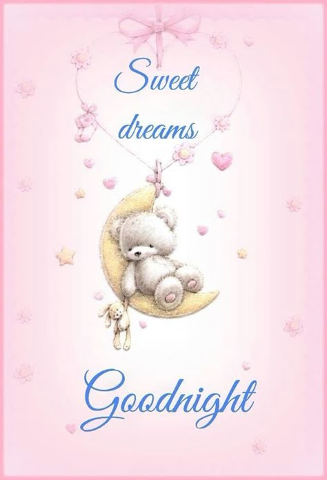 Sweet Dreams Good Night, Good Night Teddy Bear, Sweet Dream Quotes, Night Love Quotes, Lovely Good Night, Good Night Love Quotes, Goodnight Quotes, Good Night Images, Dream Night