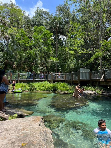 #springsummer #florida #rocksprings #aesthetic #summer #clearwater #nature #river Orlando Trip, Nature River, Florida Springs, Rock Springs, Orlando Travel, Clearwater Florida, Party Inspo, Aesthetic Summer, Future Life