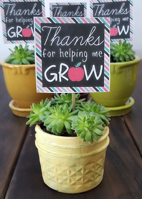 plant Inexpensive Teacher Gifts, Thanks For Helping Me Grow, Teachers Gift Ideas, Cheap Teacher Gifts, Daycare Gifts, Teacher Presents, Daycare Teacher Gifts, Teacher Appreciation Gift Ideas, Appreciation Gifts Diy